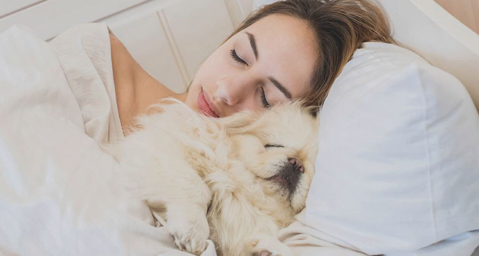 Dormire con il proprio animale domestico, fa bene?