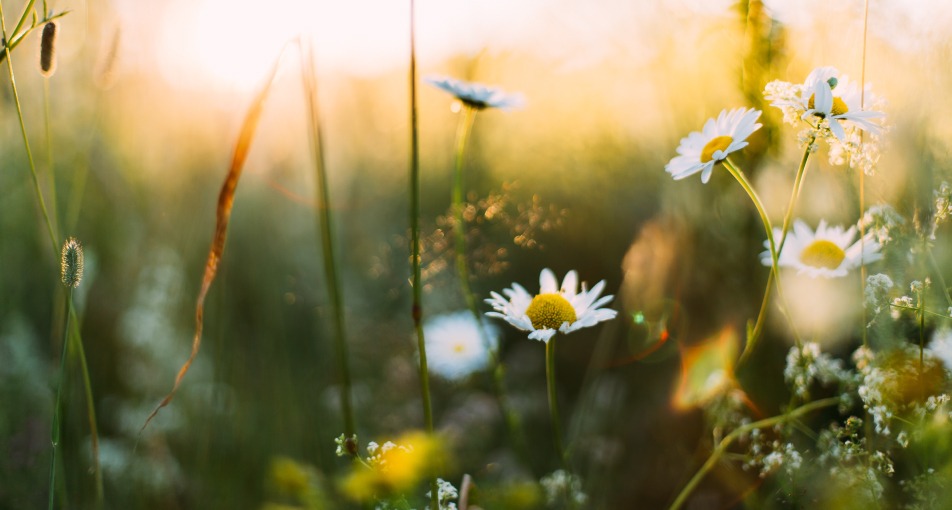 stanchezza e primavera